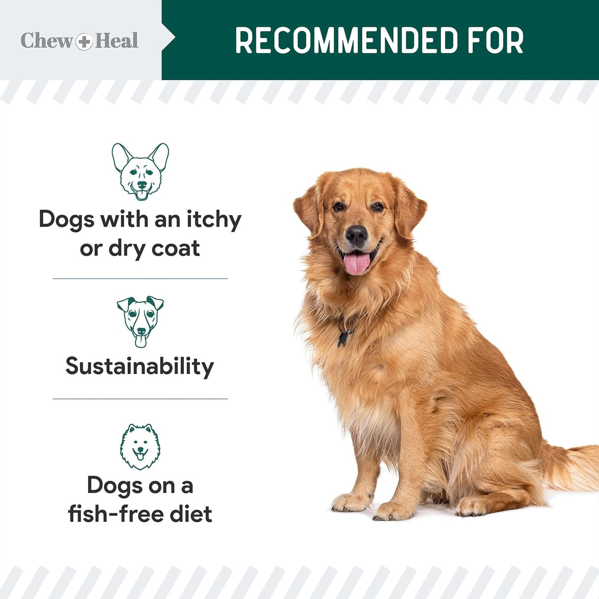 Chew + Heal Labs Vegan Omega 3 Oil for Dogs 8 Fl.Oz.