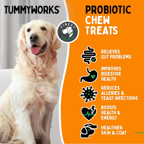 TUMMYWORKS - TummyWorks Probiotic Soft Chews for Dogs 120 Masticables - The Red Vitamin MX - Probióticos Para Perros - {{ shop.shopifyCountryName }}