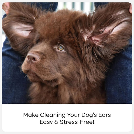 UPROOT CLEAN - Uproot Clean Cat & Dog Ear Cleaner Finger Wipes 50 Toallitas - The Red Vitamin MX - Cuidado Del Oído De Perros - {{ shop.shopifyCountryName }}