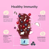 kin+kind Healthy Immunity Dog Supplement Powder 113Gr.