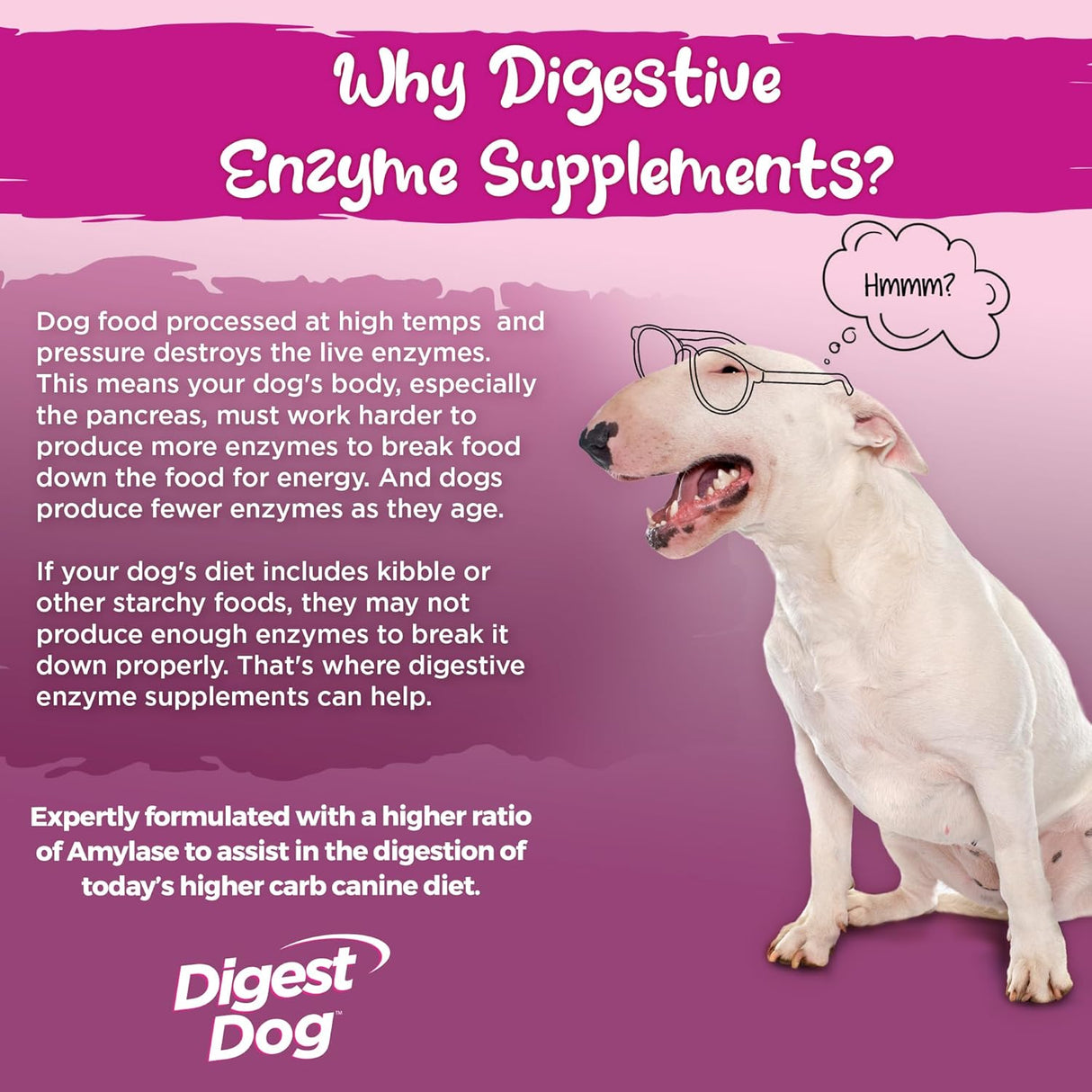 Vital Planet Digest Dog Digestive Pancreatic Enzyme Blend 30 Servicios 111Gr.