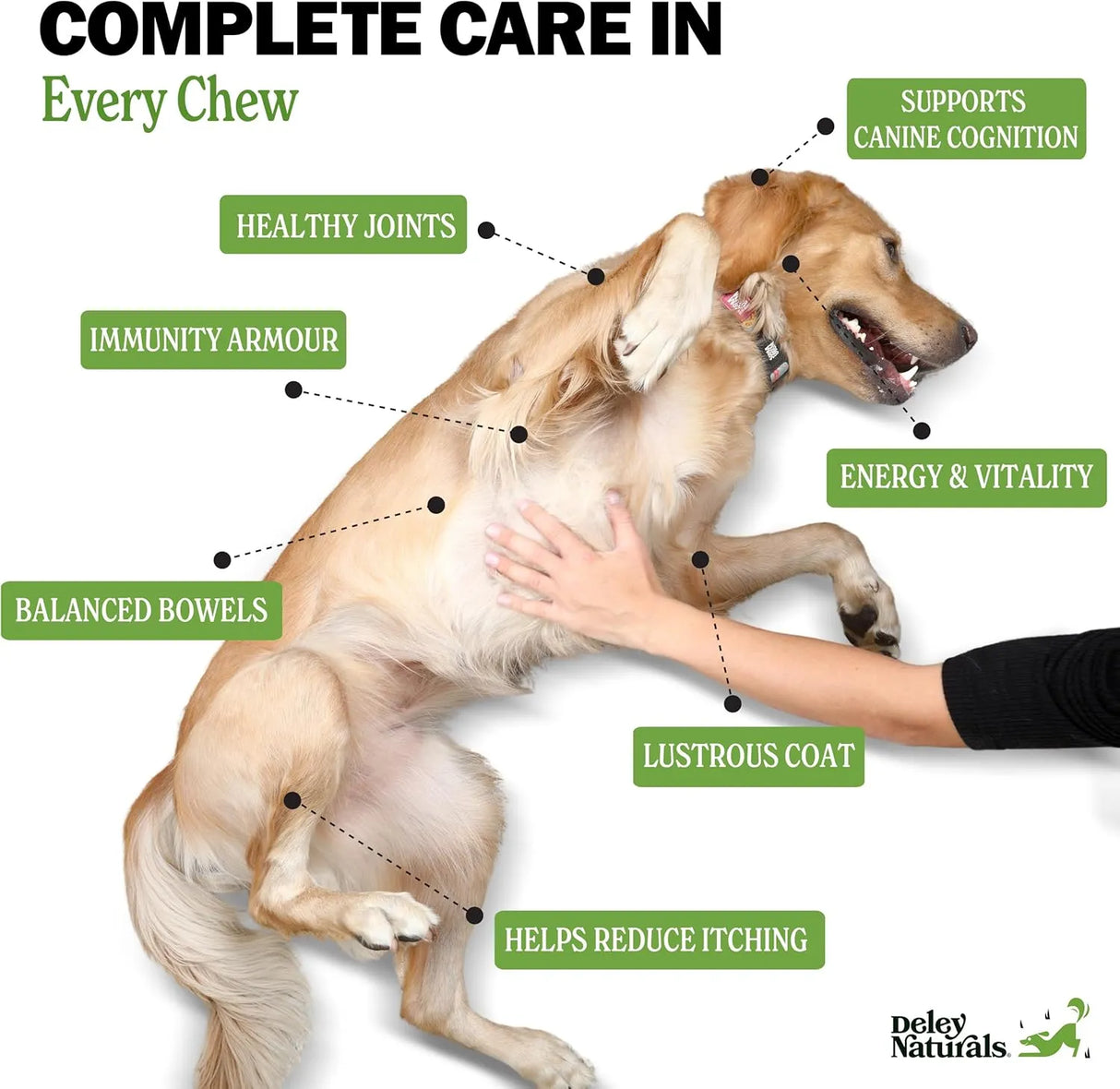 DELEY NATURALS - Deley Naturals Dog Multivitamins Chewable 120 Masticables - The Red Vitamin MX - Multivitamínicos Para Perros - {{ shop.shopifyCountryName }}