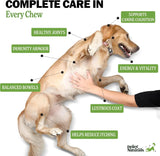 DELEY NATURALS - Deley Naturals Dog Multivitamins Chewable 120 Masticables - The Red Vitamin MX - Multivitamínicos Para Perros - {{ shop.shopifyCountryName }}