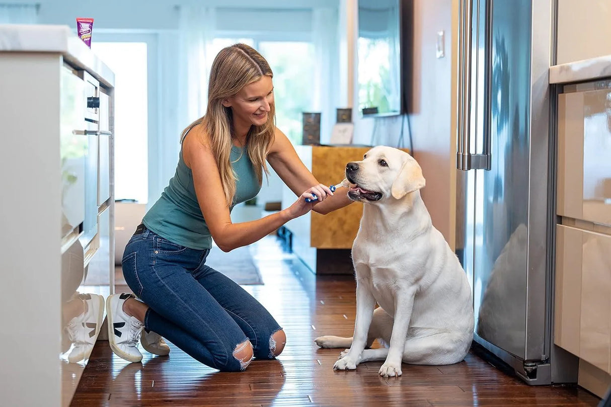 DENTAL FRESH - Dental Fresh Enzymatic Gel Dog Tooth Brushing Kit 2.5 Oz. - The Red Vitamin MX - Cuidado Dental Para Perros - {{ shop.shopifyCountryName }}