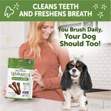 WELLNESS WHIMZEES - WHIMZEES Wellness Brushzees Dog Dental Treats Extra Small Size Stick 48 Piezas - The Red Vitamin MX - Cuidado Dental Para Perros - {{ shop.shopifyCountryName }}