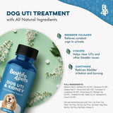 BESTLIFE4PETS - BestLife4Pets Dog UTI Treatment 400 Tabletas - The Red Vitamin MX - Salud De Tracto Urinario Para Perros - {{ shop.shopifyCountryName }}