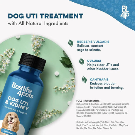 BESTLIFE4PETS - BestLife4Pets Dog UTI Treatment 400 Tabletas - The Red Vitamin MX - Salud De Tracto Urinario Para Perros - {{ shop.shopifyCountryName }}
