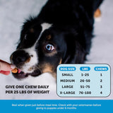 PET HONESTY - Pet Honesty Skin Health Salmon Chews 90 Masticables - The Red Vitamin MX - Aceite De Pescado Para Perros - {{ shop.shopifyCountryName }}