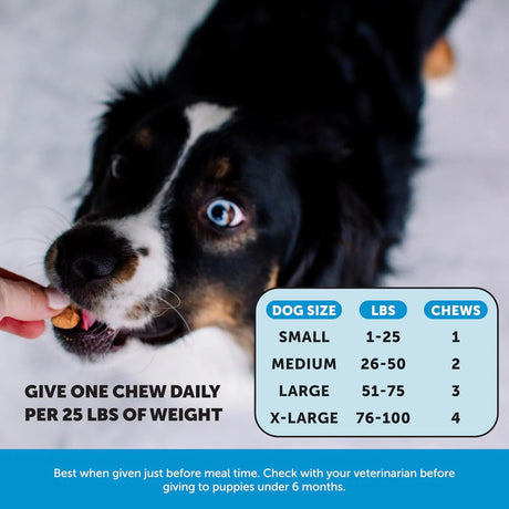 PET HONESTY - Pet Honesty Skin Health Salmon Chews 90 Masticables - The Red Vitamin MX - Aceite De Pescado Para Perros - {{ shop.shopifyCountryName }}