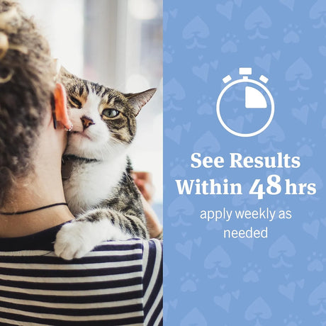 PETARMOR - PetArmor Ear Rinse for Dogs & Cats 4 Fl.Oz. 2 Pack - The Red Vitamin MX - Cuidado Del Oído De Perros - {{ shop.shopifyCountryName }}