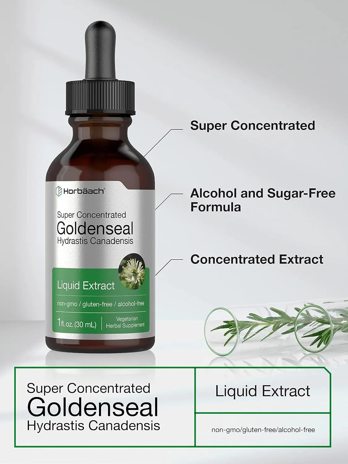 HORBAACH - Horbaach Goldenseal Root Extract Liquid 1 Fl.Oz. - The Red Vitamin MX - Suplementos Alimenticios - {{ shop.shopifyCountryName }}