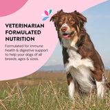 HAPPY GO HEALTHY Dog Gut Health Probiotics Supplement 60 Servicios
