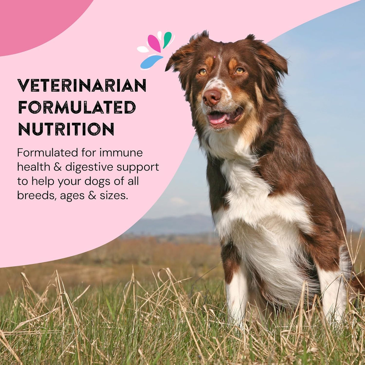 HAPPY GO HEALTHY Daily Wellness Supplements for Dogs 120 Servicios