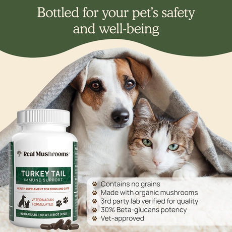REAL MUSHROOMS - Real Mushrooms Turkey Tail Capsules for Pets 90 Capsulas - The Red Vitamin MX - Suplementos Herbales Para Perros - {{ shop.shopifyCountryName }}