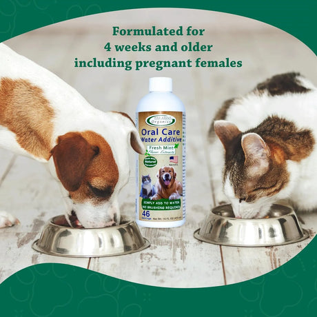 MAD ABOUT ORGANICS - Mad About Organics Oral Care Water Additive for Cats & Dogs Fresh Mint Flavor 473Ml. - The Red Vitamin MX - Cuidado Dental Para Perros - {{ shop.shopifyCountryName }}