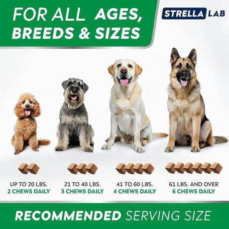 STRELLALAB - StrellaLab Dog Allergy Relief & Anti Itch Support Chews Bacon 120 Masticables 2 Pack - The Red Vitamin MX - Remedios Para La Picazón De Perros - {{ shop.shopifyCountryName }}