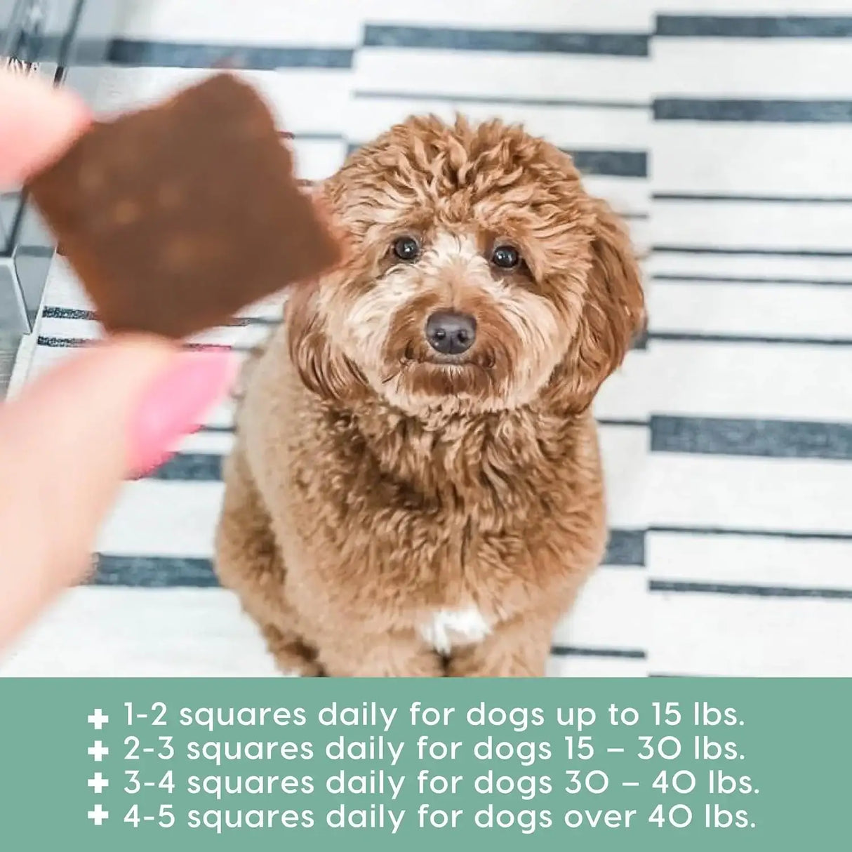 ARK NATURALS - Ark Naturals Joint Rescue Dog Chew Lamb Flavor 9 Oz. - The Red Vitamin MX - Cuidado De Cadera Y Articulaciones Para Perros - {{ shop.shopifyCountryName }}