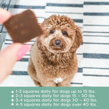 ARK NATURALS - Ark Naturals Joint Rescue Dog Chew Lamb Flavor 9 Oz. - The Red Vitamin MX - Cuidado De Cadera Y Articulaciones Para Perros - {{ shop.shopifyCountryName }}