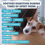 UNDER THE WEATHER - Under the Weather Bland Diet for Dogs Chicken Rice 6 Oz. - The Red Vitamin MX - Medicamentos Sin Receta Para Perros - {{ shop.shopifyCountryName }}