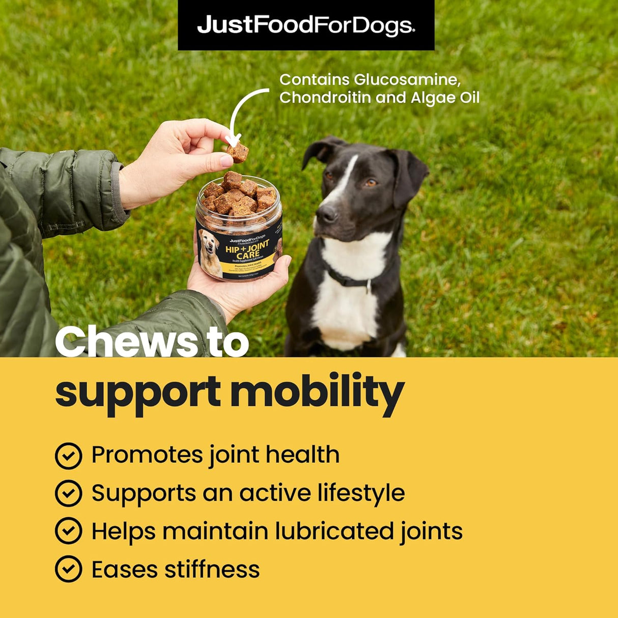 JustFoodForDogs Hip + Joint Soft Chews Mobility Supplement for Dogs 45 Masticables
