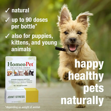 HOMEOPET - HomeoPet Joint Stress Joint Support for Dogs and Cats 15Ml. - The Red Vitamin MX - Cuidado De Cadera Y Articulaciones Para Perros - {{ shop.shopifyCountryName }}