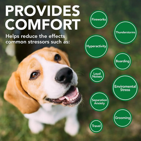 VET'S BEST - Vet's Best Comfort Calm Calming Soft Chews Dog 90 Masticables - The Red Vitamin MX - Relajantes Para Perros - {{ shop.shopifyCountryName }}