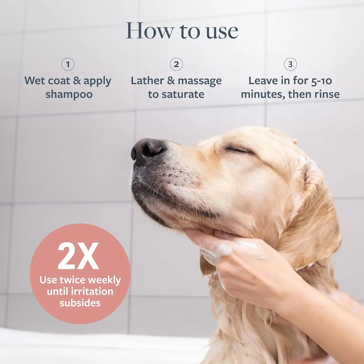 VETERINARY FORMULA - Veterinary Formula Clinical Care Hot Spot & Itch Relief Medicated Shampoo for Dogs and Cats 16 Fl.Oz. 2 Pack - The Red Vitamin MX - Remedios Para La Picazón De Perros - {{ shop.shopifyCountryName }}