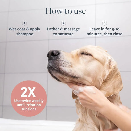 VETERINARY FORMULA - Veterinary Formula Clinical Care Hot Spot & Itch Relief Medicated Shampoo for Dogs and Cats 16 Fl.Oz. 2 Pack - The Red Vitamin MX - Remedios Para La Picazón De Perros - {{ shop.shopifyCountryName }}