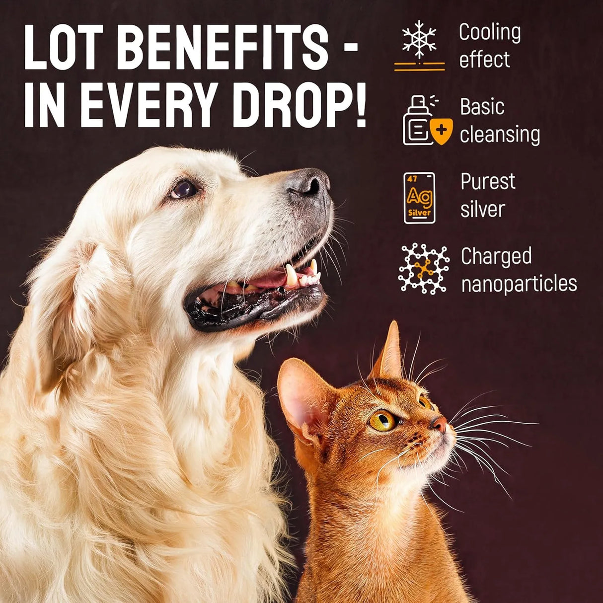 SILVER GRADE - SILVER GRADE Dog Ear Infection Treatment + Silver 2 Fl.Oz. - The Red Vitamin MX - Cuidado Del Oído De Perros - {{ shop.shopifyCountryName }}