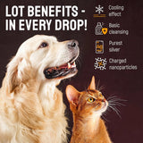 SILVER GRADE - SILVER GRADE Dog Ear Infection Treatment + Silver 2 Fl.Oz. - The Red Vitamin MX - Cuidado Del Oído De Perros - {{ shop.shopifyCountryName }}