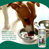 MAD ABOUT ORGANICS - Mad About Organics Oral Care Water Additive for Cats & Dogs Fresh Mint Flavor 473Ml. - The Red Vitamin MX - Cuidado Dental Para Perros - {{ shop.shopifyCountryName }}