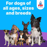 Pup Labs Freedom Joint Drops for Dogs 30Ml.