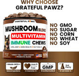 GRATEFUL PAWZ - Grateful Pawz Dog Mushroom Multivitamin Chewable 170 Masticables - The Red Vitamin MX - Multivitamínicos Para Perros - {{ shop.shopifyCountryName }}