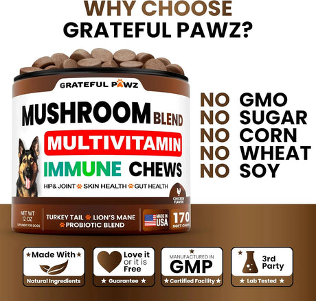 GRATEFUL PAWZ - Grateful Pawz Dog Mushroom Multivitamin Chewable 170 Masticables - The Red Vitamin MX - Multivitamínicos Para Perros - {{ shop.shopifyCountryName }}