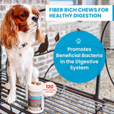 TRUSTWELL PAWMEDICA Dog Anal Gland Chews to Stop Scoot for Dogs 120 Masticables