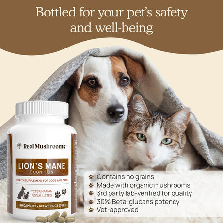 REAL MUSHROOMS - Real Mushrooms Lion’s Mane Pet Mushroom Supplement 120 Capsulas - The Red Vitamin MX - Suplementos Herbales Para Perros - {{ shop.shopifyCountryName }}