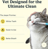 Jasper Microbrush Cat Toothbrush Soft-Bristled Toothbrush Kit