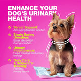 CHEWIA - CHEWIA Dog UTI Treatment 180 Masticables - The Red Vitamin MX - Salud De Tracto Urinario Para Perros - {{ shop.shopifyCountryName }}
