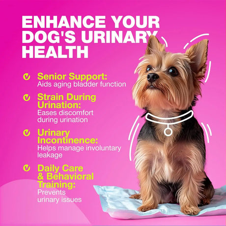 CHEWIA - CHEWIA Dog UTI Treatment 180 Masticables - The Red Vitamin MX - Salud De Tracto Urinario Para Perros - {{ shop.shopifyCountryName }}