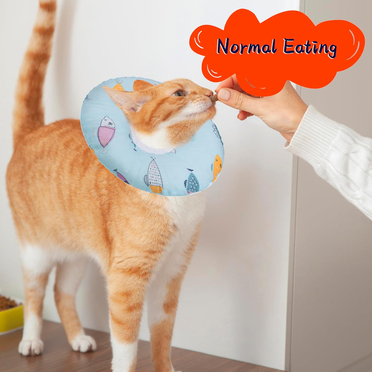 Seyezo Cat Cone Collar Soft Blue Fish Large