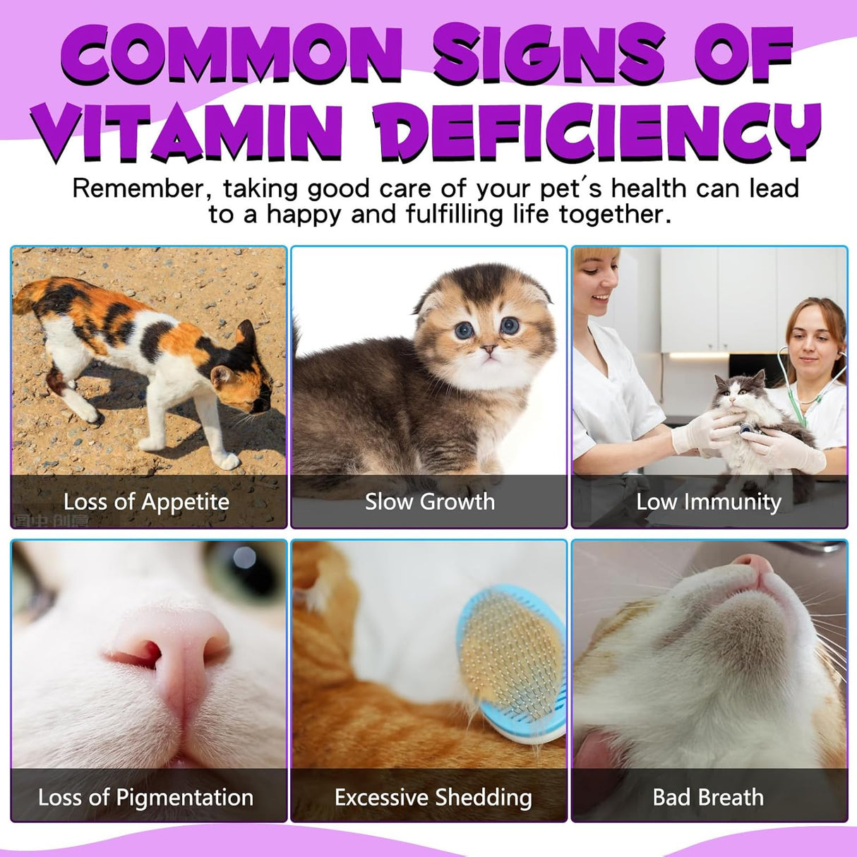 Oimmal 15-in-1 Multivitamin Drops for Cats 2 Fl.Oz.