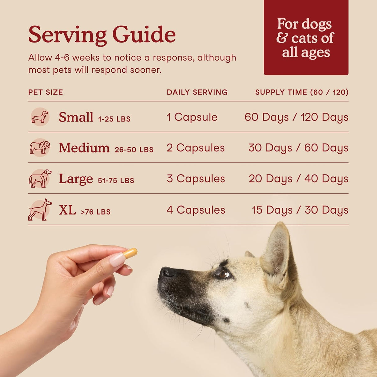 Fera Pets Cardiac Supplement for Dogs & Cats 120 Capsulas