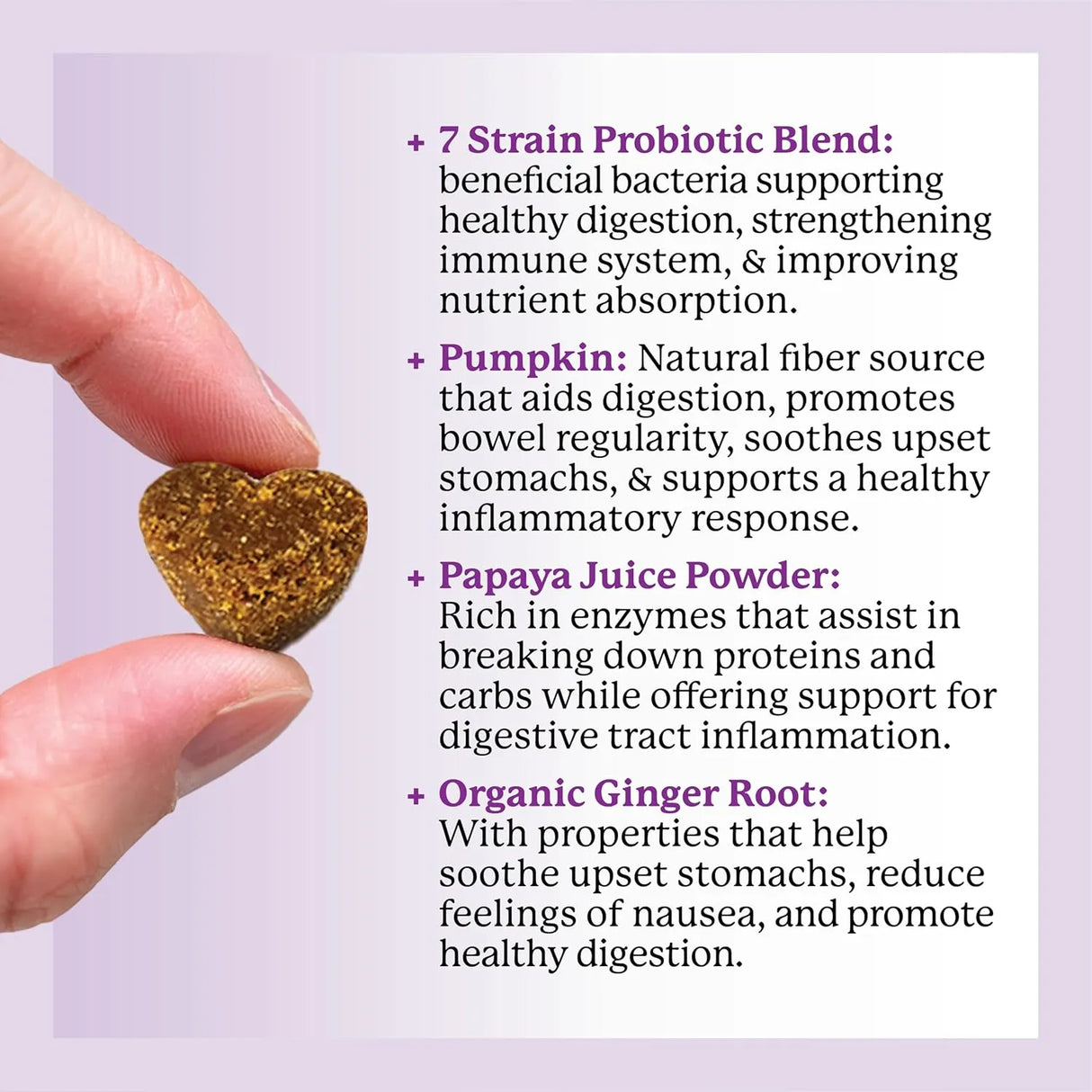 DR. HARVEY'S - Dr. Harvey's Digestive Probiotic Soft Chews for Dogs 90 Masticables - The Red Vitamin MX - Probióticos Para Perros - {{ shop.shopifyCountryName }}