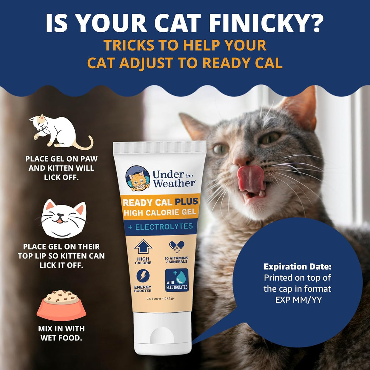 Under the Weather Pet Electrolytes Ready Cal Plus Gel for Cats 3.5 Oz.
