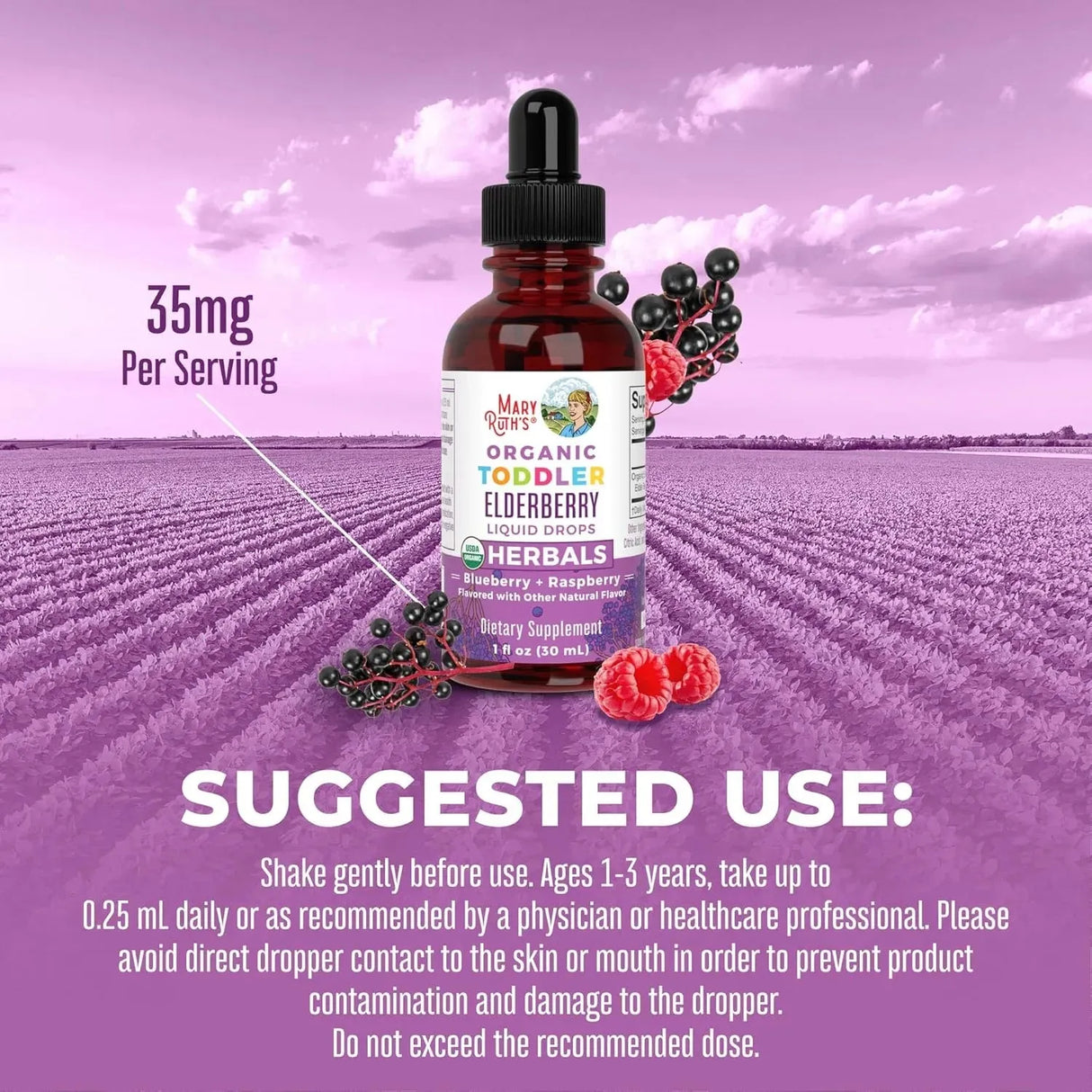 MARY RUTH ORGANICS - MaryRuth Organics Toddler Elderberry Syrup 1 Fl.Oz. - The Red Vitamin MX - Suplementos Alimenticios - {{ shop.shopifyCountryName }}