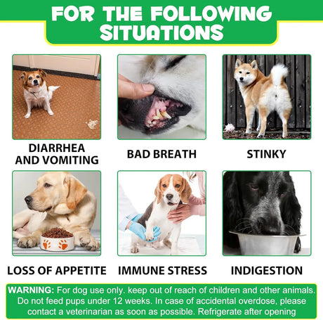 OIMMAL - Oimmal Probiotics for Dogs Digestive Health 120 Masticables - The Red Vitamin MX - Probióticos Para Perros - {{ shop.shopifyCountryName }}