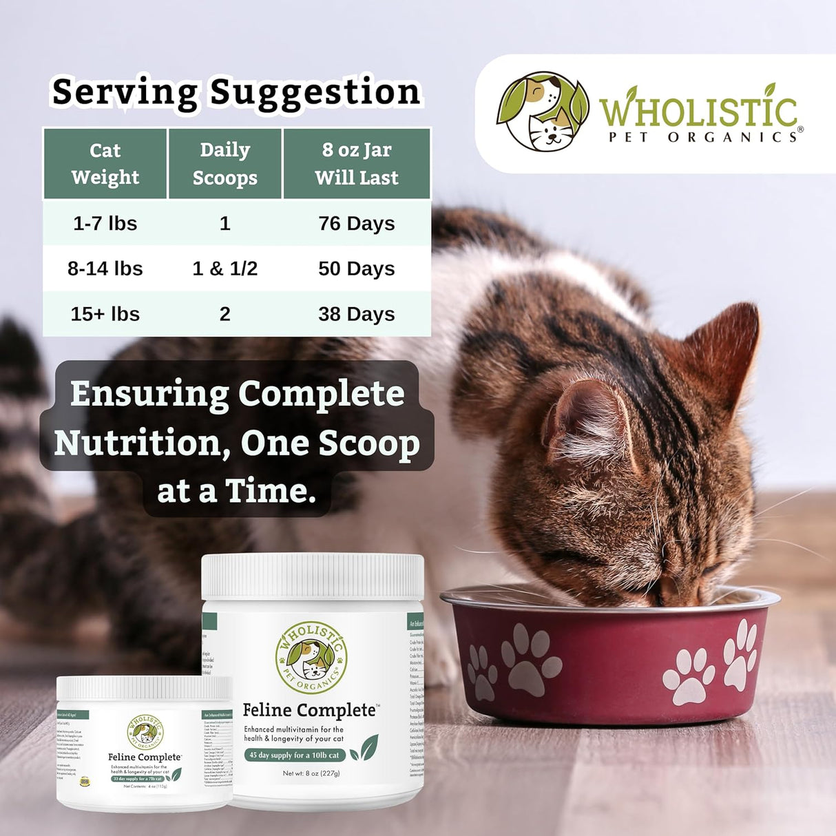 Wholistic Pet Organics Feline Complete Original Whitefish 227Gr.