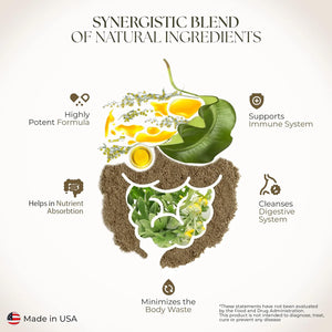 DR. CLARK - Dr Clark Superblend Wormwood 330Mg. 100 Capsulas - The Red Vitamin MX - Suplementos Alimenticios - {{ shop.shopifyCountryName }}