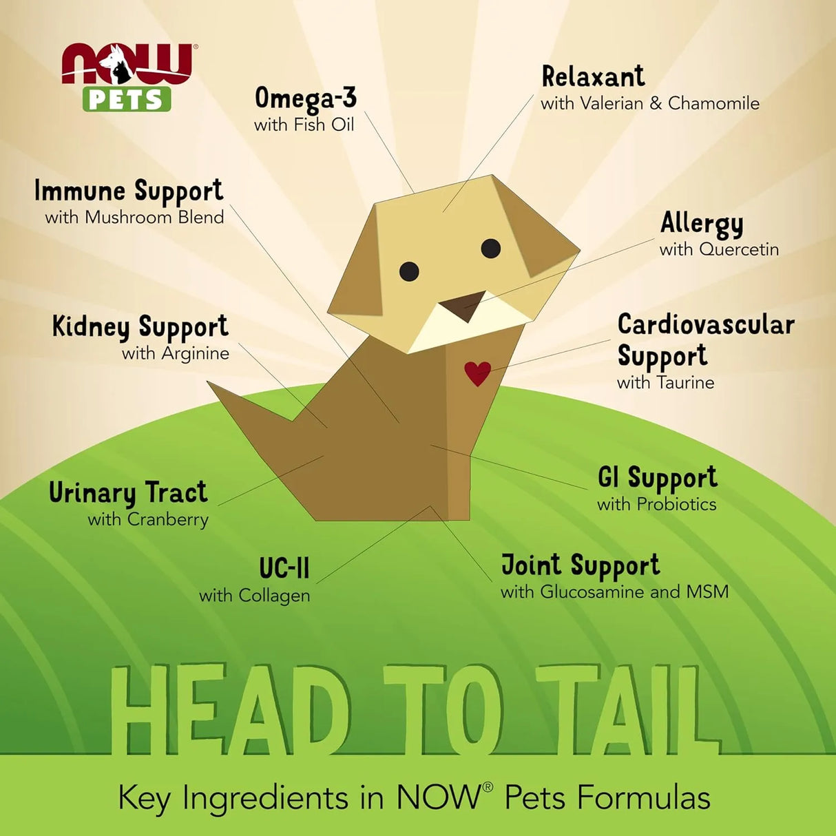 NOW SUPPLEMENTS - NOW Foods Pet Health Omega 3 180 Capsulas Blandas - The Red Vitamin MX - Aceite De Pescado Para Perros - {{ shop.shopifyCountryName }}