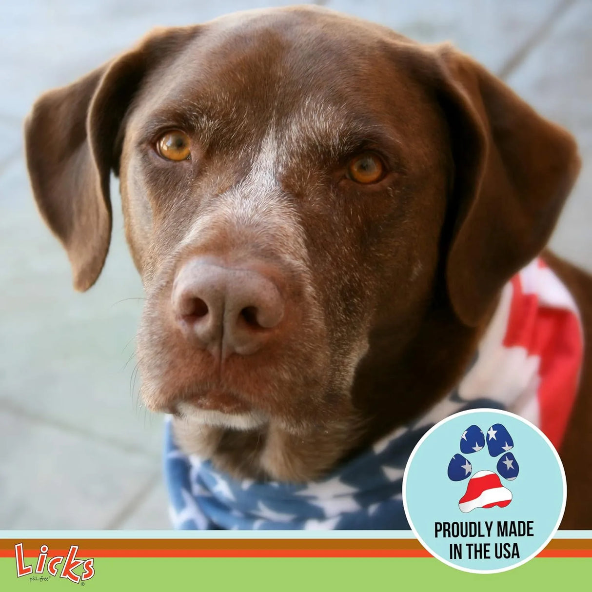 LICKS PILL FREE - Licks Pill Free Dog Multivitamin 30 Paquetes - The Red Vitamin MX - Multivitamínicos Para Perros - {{ shop.shopifyCountryName }}